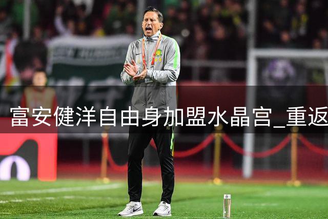 富安健洋自由身加盟水晶宫 重返英超